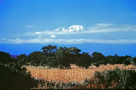 Mount Kilimanjaro