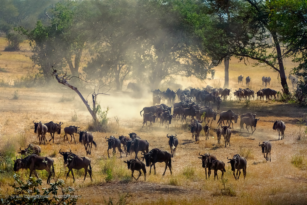 Serengeti atmosphere