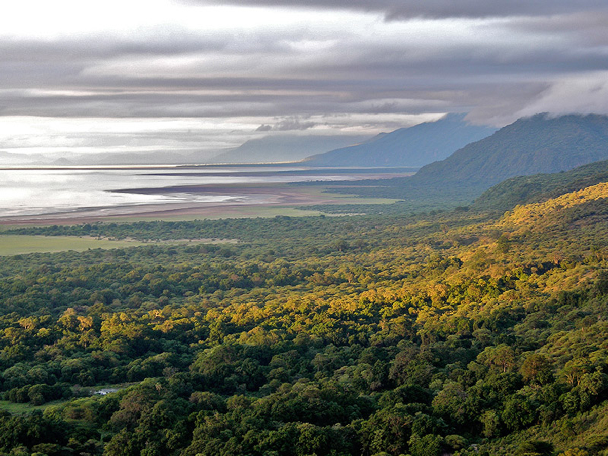 Lake Manyara atmosphere