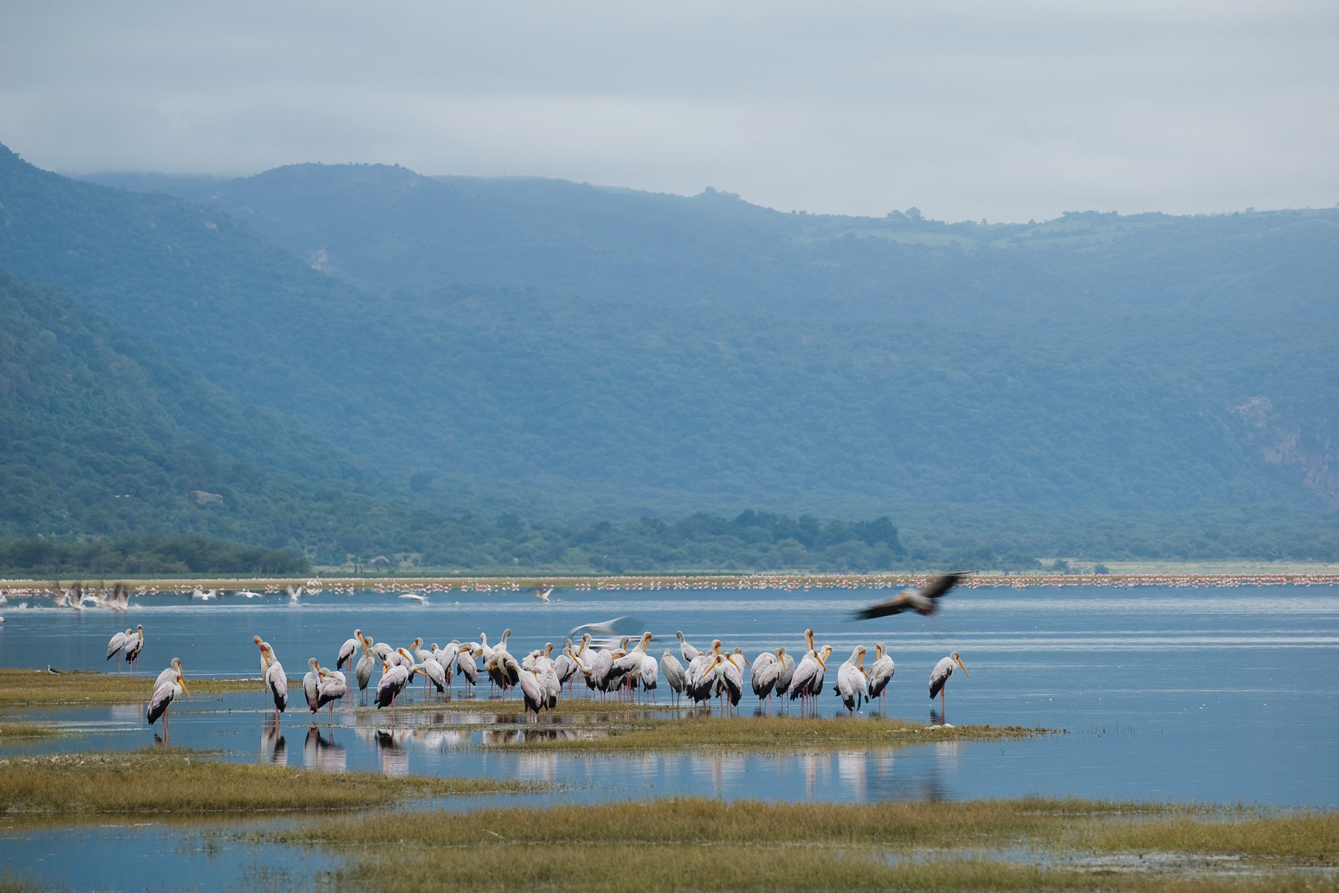 Lake Manyara