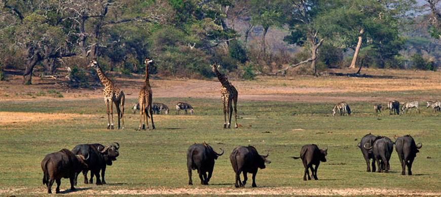 Katavi National Park