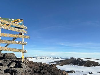 Kilimanjaro